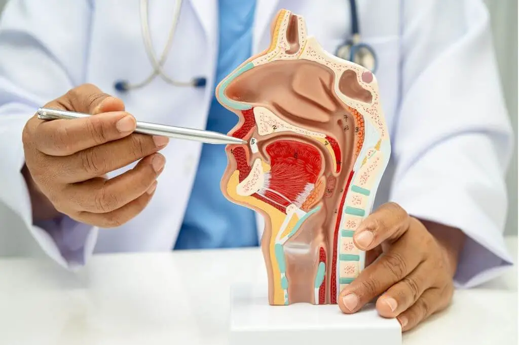 Achieving ENT Doctor in Ahmedabad: Complete Care for the Ear Nose, Nose and Throat